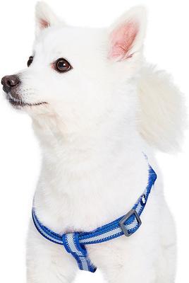 Show full view: Blueberry Pet Step In Reflective Back to Basics Dog Harness, Navy Blue, Large: 26 to 39-in chest slide 4 of 7