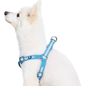 Blueberry Pet Step In Reflective Back to Basics Dog Harness, Sky Blue, Large: 26 to 39-in chest