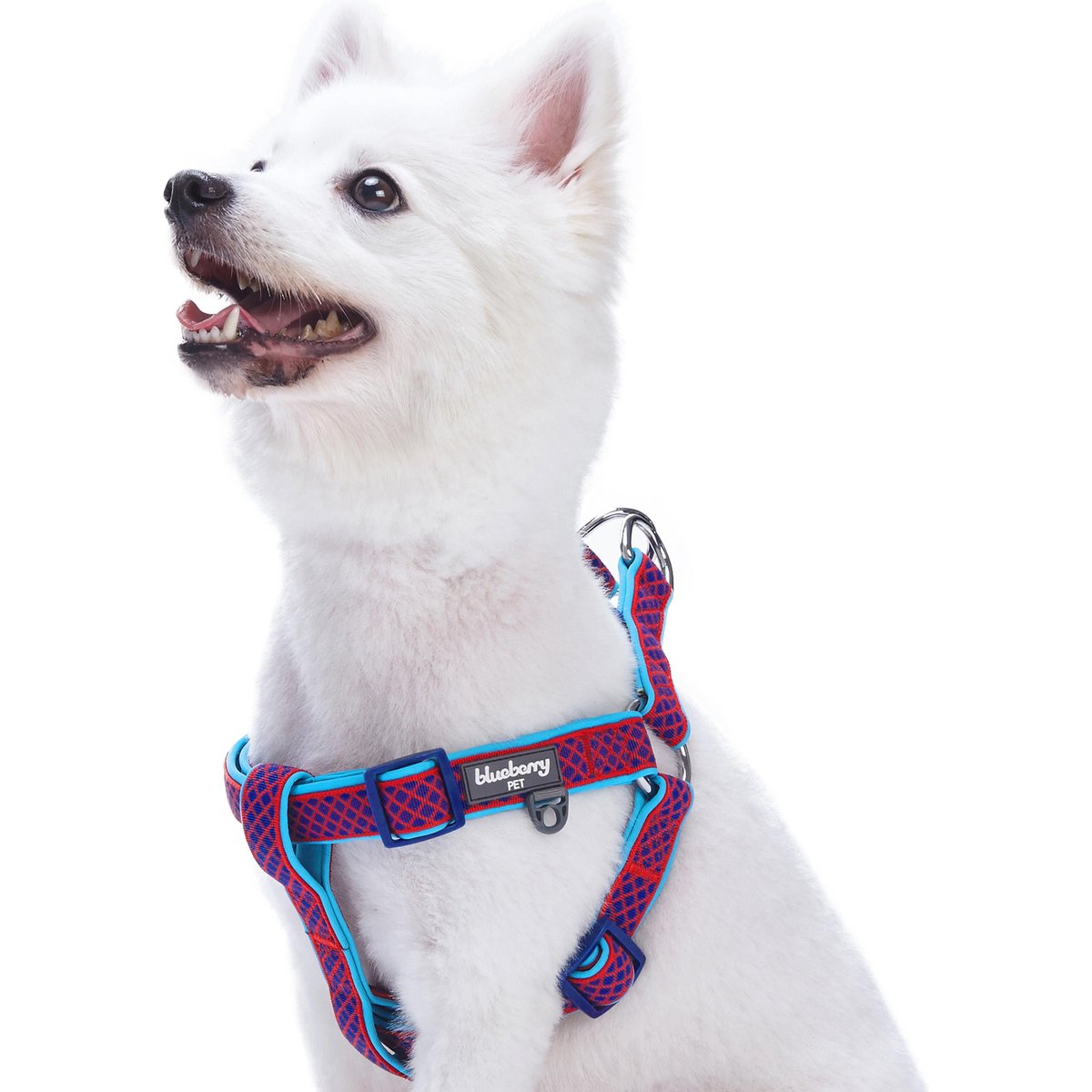 Blueberry Pet Step In Urban Chic Diamond Pattern Padded Dog Harness, Red/ Dark Turquoise, Small/Medium: 19.5 to 25.5-in chest