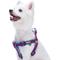 Show in main carousel: Blueberry Pet Step In Urban Chic Diamond Pattern Padded Dog Harness, Red/ Dark Turquoise, Small/Medium: 19.5 to 25.5-in chest slide 1 of 6