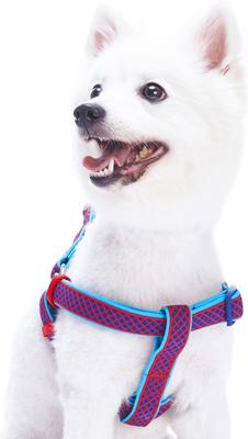Show full view: Blueberry Pet Step In Urban Chic Diamond Pattern Padded Dog Harness, Red/ Dark Turquoise, X-Small/Small: 15.5 to 19.5-in chest slide 2 of 5