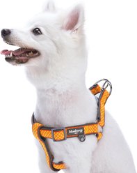 Blueberry Pet Step In Urban Chic Diamond Pattern Padded Dog Harness, Yellow/ Grey, X-Small/Small: 15.5 to 19.5-in chest