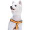 Show in main carousel: Blueberry Pet Step In Urban Chic Diamond Pattern Padded Dog Harness, Yellow/ Grey, X-Small/Small: 15.5 to 19.5-in chest slide 2 of 5