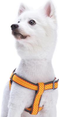 Show full view: Blueberry Pet Step In Urban Chic Diamond Pattern Padded Dog Harness, Yellow/ Grey, X-Small/Small: 15.5 to 19.5-in chest slide 2 of 5