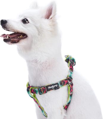 Show full view: Blueberry Pet Step In Vintage Tribal Pattern Padded Dog Harness, Green, Medium/Large: 23.5 to 29.5-in chest slide 1 of 6