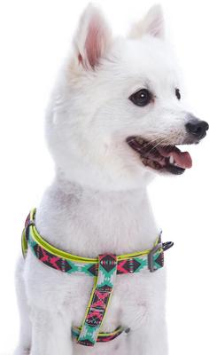 Show full view: Blueberry Pet Step In Vintage Tribal Pattern Padded Dog Harness, Green, Medium/Large: 23.5 to 29.5-in chest slide 2 of 6