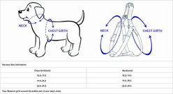 Blueberry Pet Step In Vintage Tribal Pattern Padded Dog Harness, Green, Small/Medium: 19.5 to 25.5-in chest slide 2 of 5