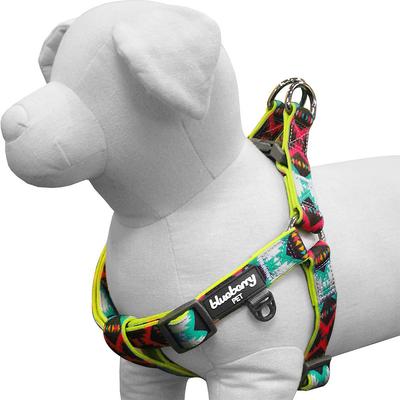 Show full view: Blueberry Pet Step In Vintage Tribal Pattern Padded Dog Harness, Green, Small/Medium: 19.5 to 25.5-in chest slide 3 of 6