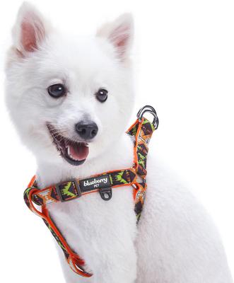 Show full view: Blueberry Pet Step In Vintage Tribal Pattern Padded Dog Harness, Orange, X-Small/Small: 15.5 to 19.5-in chest slide 1 of 6