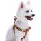 Show in main carousel: Blueberry Pet Step In Vintage Tribal Pattern Padded Dog Harness, Orange, X-Small/Small: 15.5 to 19.5-in chest slide 2 of 6