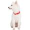 Show in main carousel: Blueberry Pet The Most Coveted Designer Mixed Metallic Thread Personalized Dog Collar, Sparkling True Red, Large: 17 to 20.5-in neck, 1-in wide slide 2 of 7