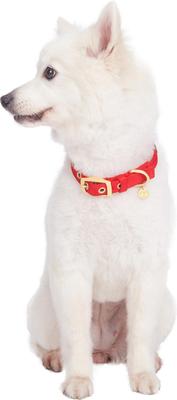 Show full view: Blueberry Pet The Most Coveted Designer Mixed Metallic Thread Personalized Dog Collar, Sparkling True Red, Large: 17 to 20.5-in neck, 1-in wide slide 2 of 7