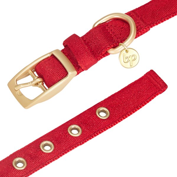 Blueberry Pet The Most Coveted Designer Mixed Metallic Thread Personalized Dog Collar