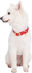 Blueberry Pet The Most Coveted Designer Mixed Metallic Thread Personalized Dog Collar, Sparkling True Red, Small: 9 to 12.5-in neck, 5/8-in wide slide 2 of 7