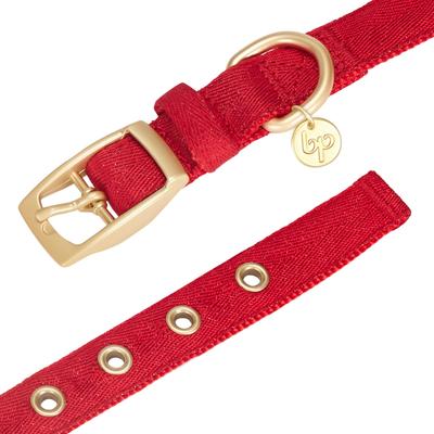 Show full view: Blueberry Pet The Most Coveted Designer Mixed Metallic Thread Personalized Dog Collar, Sparkling True Red, Small: 9 to 12.5-in neck, 5/8-in wide slide 6 of 8