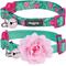 Show in main carousel: Blueberry Pet The Power of All in One Adjustable Breakaway Cat Collar with Bell, 2 count, 2 count, Relaxing Jungle Green slide 1 of 8