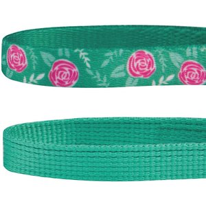 Blueberry Pet The Power of All in One Adjustable Breakaway Cat Collar with Bell, 2 count, 2 count, Relaxing Jungle Green