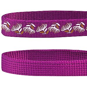 Blueberry Pet The Power of All in One Adjustable Breakaway Cat Collar with Bell, 2 count, Stunning Plum