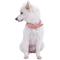 Show in main carousel: Blueberry Pet Vintage Two Tone Leather Dog Collar, Pink & Grey, Large slide 6 of 8