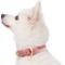 Show in main carousel: Blueberry Pet Vintage Two Tone Leather Dog Collar, Pink & Grey, Medium slide 6 of 9