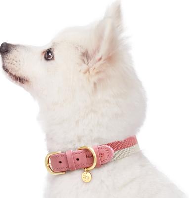 Show full view: Blueberry Pet Vintage Two Tone Leather Dog Collar, Pink & Grey, Small slide 6 of 9