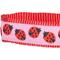Show in main carousel: Blueberry Pet Webbing Ladybug Designer Personalized Standard Dog Leash, Large: 4-ft long, 1-in wide slide 3 of 5