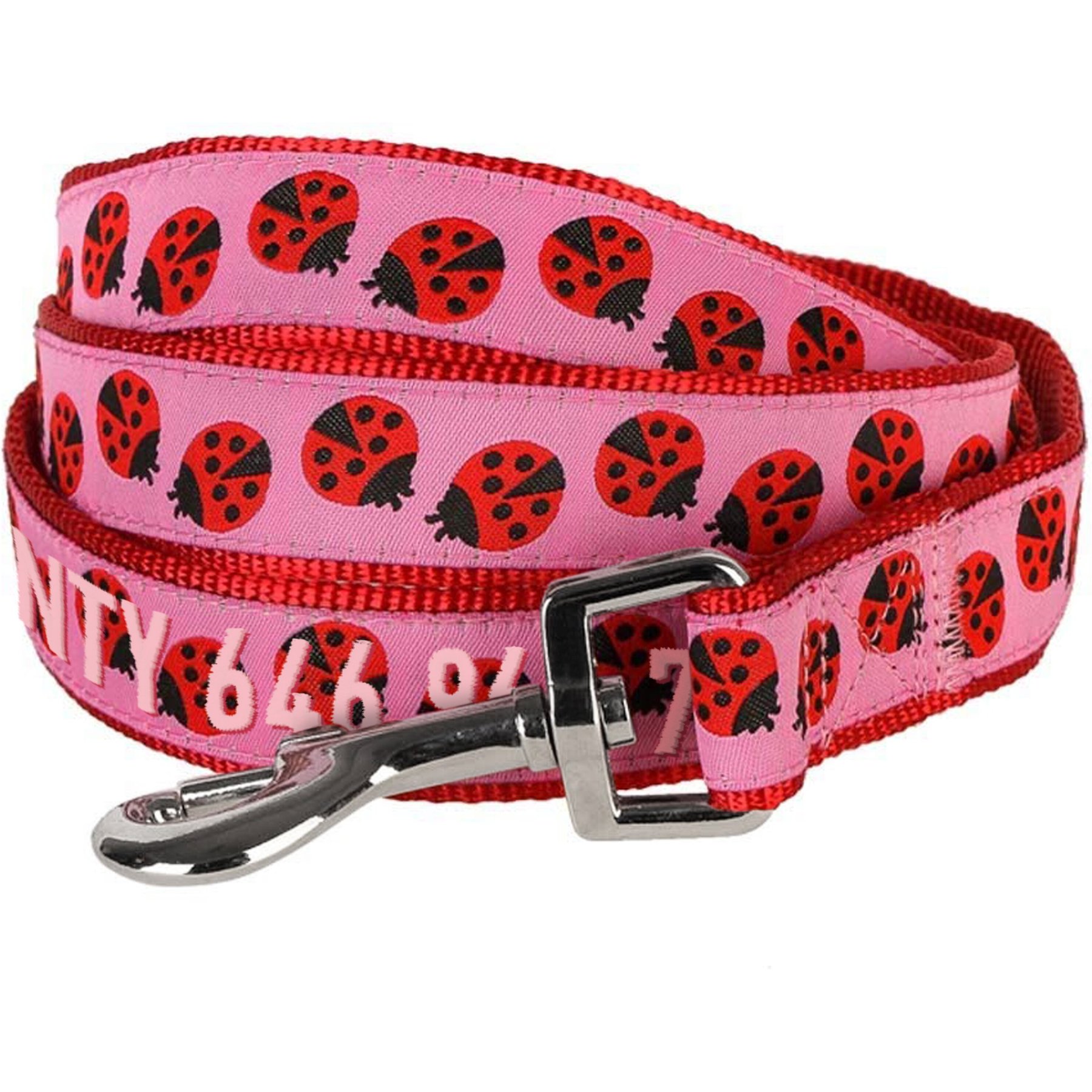 Blueberry Pet Webbing Ladybug Designer Personalized Standard Dog Leash, Medium: 5-ft long, 3/4-in wide
