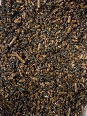 Show full view: Bluebonnet Feeds Equilene Pro Care Pellets Horse Feed, 50-lb bag, bundle of 2 slide 3 of 4