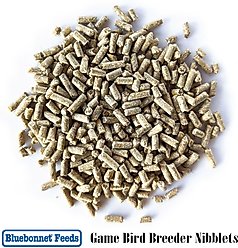 Bluebonnet Feeds Game Bird Breeder 20% Protein Nibblet Bird Food, 50-lb bag slide 2 of 9