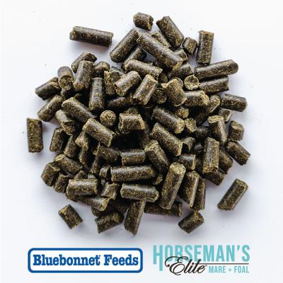 Show full view: Bluebonnet Feeds Horsemans Elite Mare & Foal Pellet Horse Feed, 50-lb bag slide 2 of 6