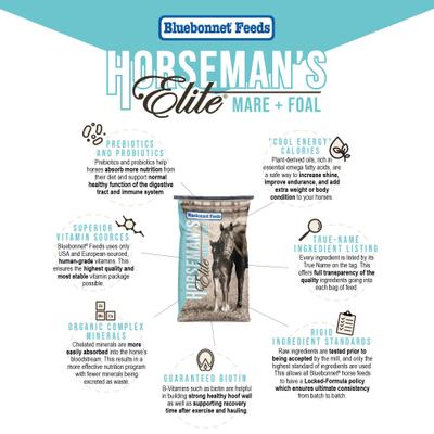 Show full view: Bluebonnet Feeds Horsemans Elite Mare & Foal Pellet Horse Feed, 50-lb bag slide 3 of 6