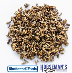 Bluebonnet Feeds Horsemans Elite Performance Race Track Sweet Horse Feed, 50-lb bag slide 2 of 6