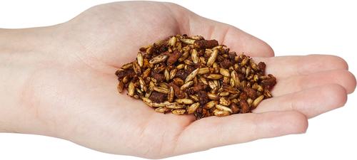 Show full view: Bluebonnet Feeds Horsemans Elite Performance Race Track Sweet Horse Feed, 50-lb bag slide 5 of 7