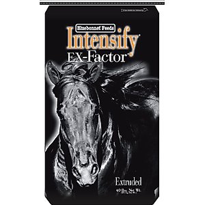 Bluebonnet Feeds Intensify Ex-Factor Low Sugar, Low Starch Horse Feed, 40-lb bag
