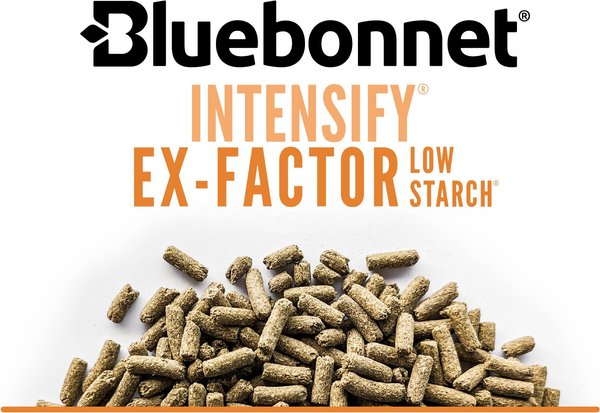 Bluebonnet Feeds Intensify Ex-Factor Low Sugar, Low Starch Horse Feed