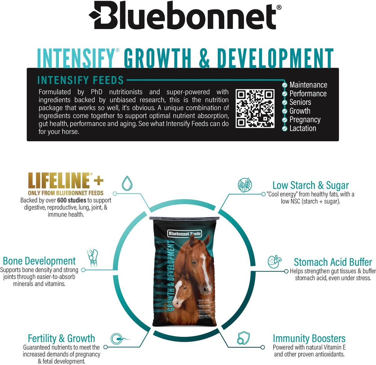 BLUEBONNET FEEDS Intensify Growth & Development Low Sugar, Low Starch ...