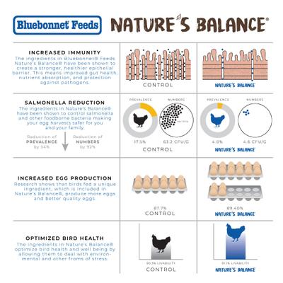 Show full view: Bluebonnet Feeds Nature's Balance Egg Booster 16% Protein Crumble Chicken Feed, 50-lb bag slide 8 of 9