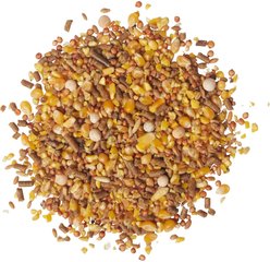 Bluebonnet Feeds Poultry Conditioner 16% Protein Premium Formula Grain Bird Food, 50-lb bag slide 2 of 9