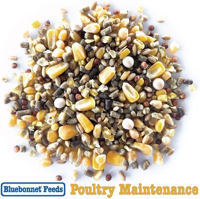 Show full view: Bluebonnet Feeds Poultry Maintenance 14% Protein Premium Formula Grain Bird Food, 50-lb bag slide 5 of 10