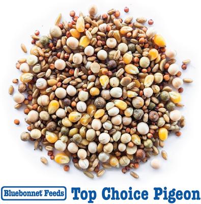Show full view: Bluebonnet Feeds Top Choice Pigeon Food, 50-lb bag slide 8 of 10