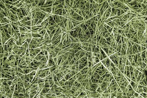 Show full view: BM Hay Company Orchard Hay Small Pet Food, 8-lb box slide 5 of 7