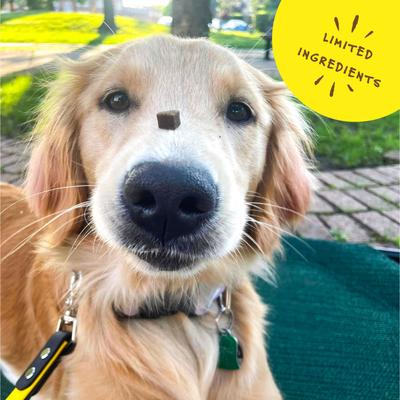 Show full view: Bocce's Bakery Bac'n Nutty PB & Bacon Training Bites Dog Treats, 6-oz bag slide 6 of 10