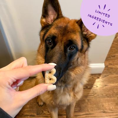 Show full view: Bocce's Bakery Bedtime Tea Banana, Vanilla & Lavender Dog Treats, 5-oz bag slide 6 of 11