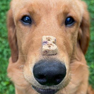 Show full view: Bocce's Bakery Berries & Cream Soft & Chewy Dog Treats, 6-oz bag slide 5 of 10