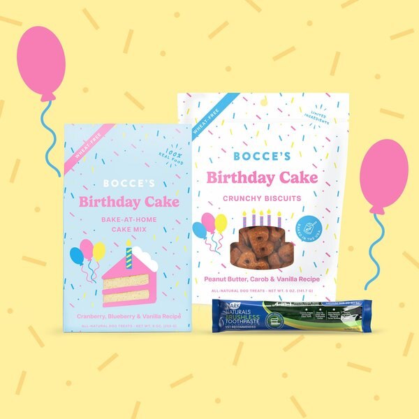 Bocce's Bakery Birthday Party Medium/Large Dog Box