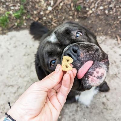 Show full view: Bocce's Bakery Burgers & Fries Beef, Sweet Potatoes & Cheese Dog Treats, 5-oz bag slide 5 of 10