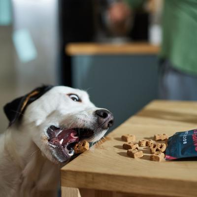 Show full view: Bocce's Bakery Campfire S'mores Peanut Butter, Carob & Vanilla Recipe Dog Treats, 6-oz bag slide 5 of 11