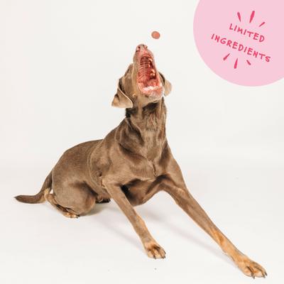 Show full view: Bocce's Bakery Crispies Banana & Bacon Recipe Dog Treats, 10-oz box slide 7 of 11