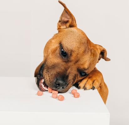 Show full view: Bocce's Bakery Crispies Banana & Bacon Recipe Dog Treats, 10-oz box slide 6 of 11