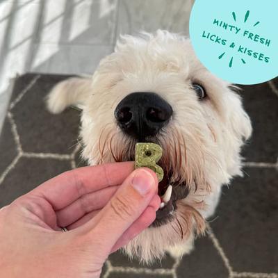 Show full view: Bocce's Bakery Dailies Brushy Bites Apple + Mint Recipe Dog Treats, 6-oz pouch slide 6 of 10